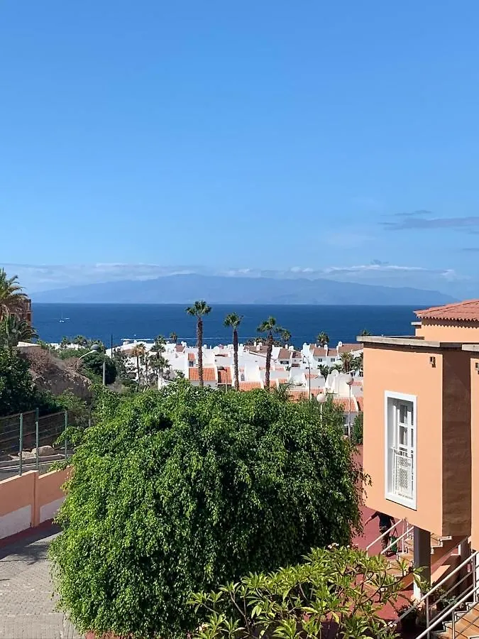 Orlando Apartment Tenerife contacts